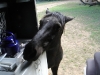 dsc09351-klein
